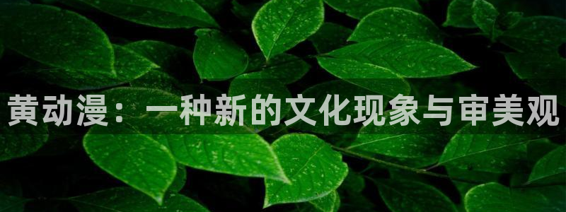 动漫屋app正版下载