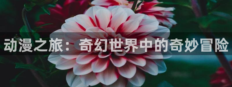 动漫屋官网