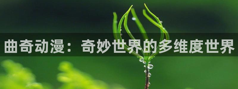 动漫屋app官方正版下载安装